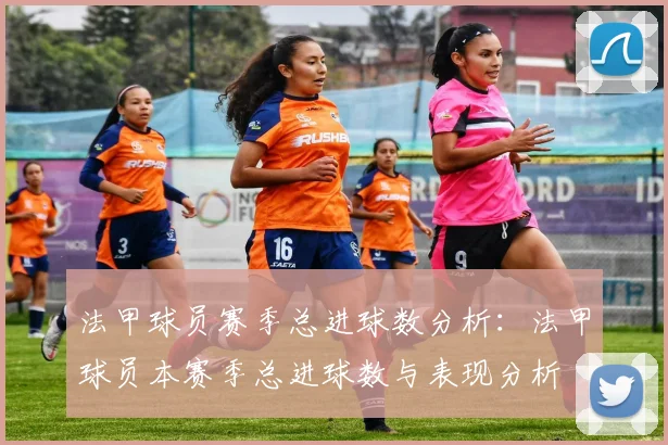 法甲球员赛季总进球数分析：法甲球员本赛季总进球数与表现分析