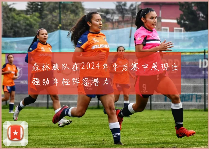 森林狼队在2024年季后赛中展现出强劲年轻阵容潜力