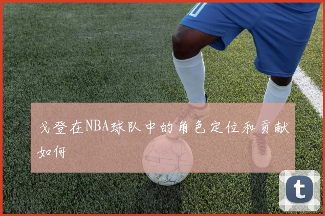 戈登在NBA球队中的角色定位和贡献如何